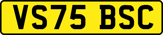 VS75BSC