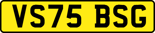 VS75BSG