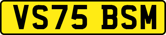 VS75BSM