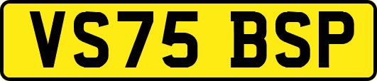 VS75BSP