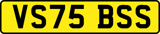 VS75BSS