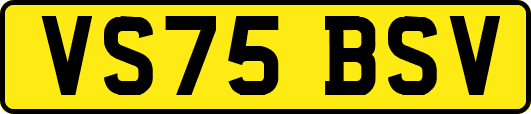 VS75BSV