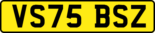 VS75BSZ