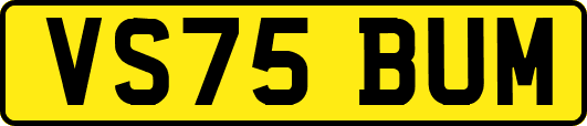 VS75BUM