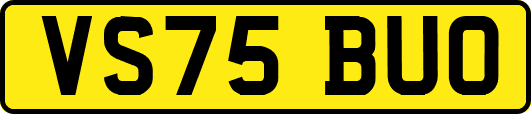 VS75BUO