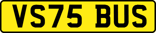 VS75BUS