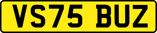 VS75BUZ