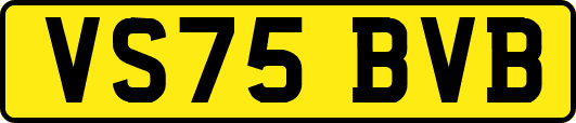 VS75BVB
