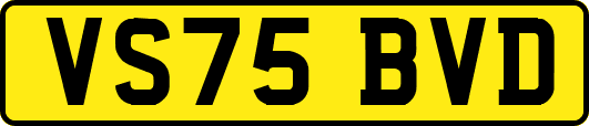 VS75BVD