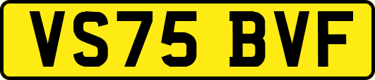VS75BVF