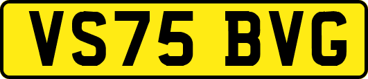 VS75BVG