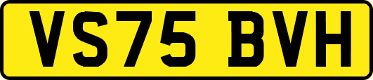 VS75BVH