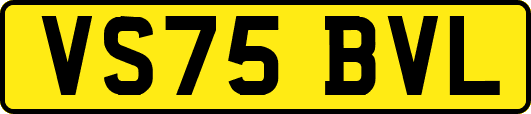 VS75BVL