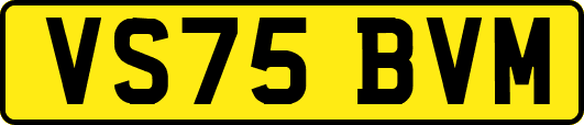 VS75BVM
