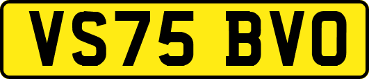 VS75BVO