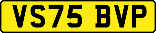 VS75BVP