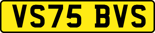 VS75BVS