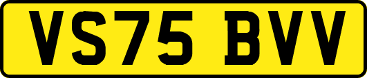 VS75BVV