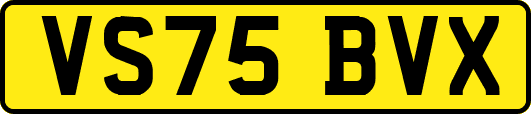 VS75BVX