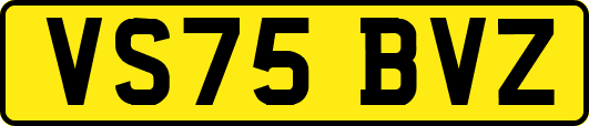 VS75BVZ