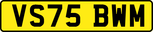 VS75BWM