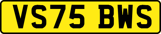 VS75BWS
