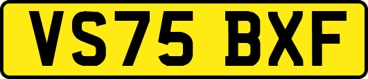 VS75BXF