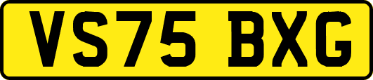 VS75BXG