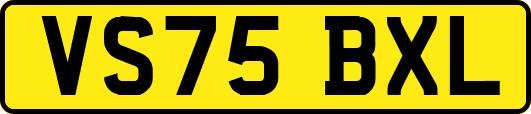VS75BXL