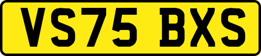 VS75BXS