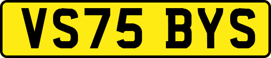 VS75BYS