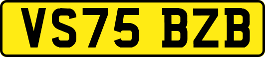 VS75BZB