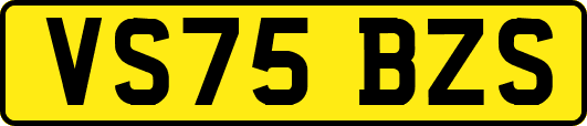 VS75BZS