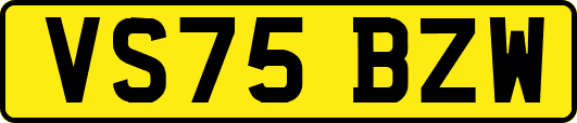 VS75BZW