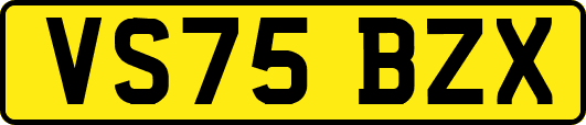 VS75BZX