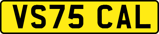 VS75CAL