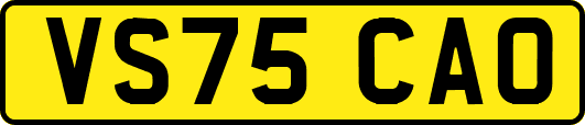 VS75CAO