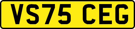 VS75CEG