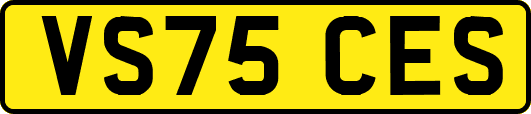 VS75CES