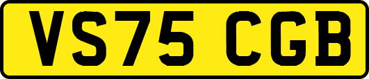 VS75CGB