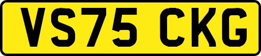 VS75CKG