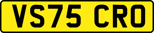 VS75CRO