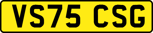 VS75CSG