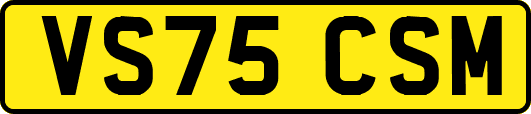 VS75CSM