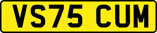 VS75CUM
