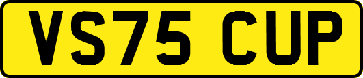 VS75CUP