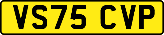 VS75CVP