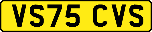 VS75CVS