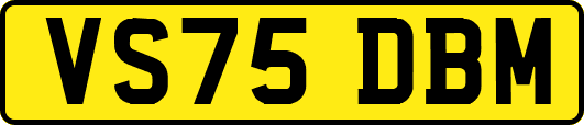 VS75DBM