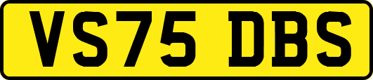 VS75DBS